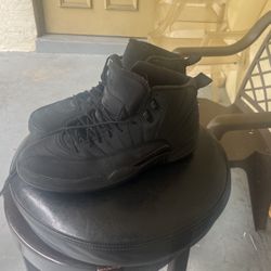 Jordan 12 