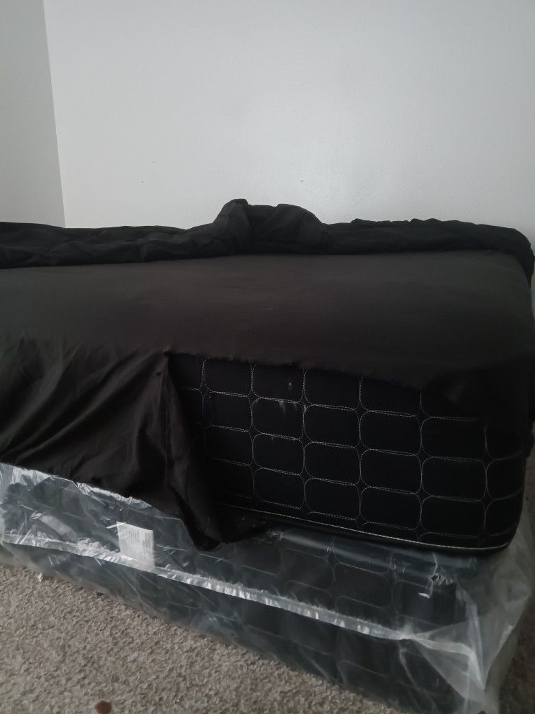 Cali King Bed And Box Spring 6 Mos Old Home & Garden