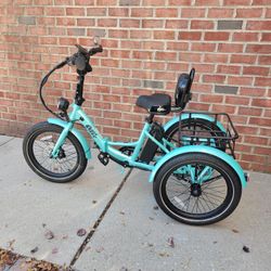 Ollie Leo Electric Trike (2024) 500W Motor - 20mph 