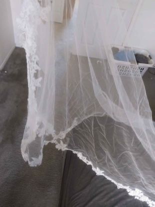 Vera Wang walking Veil