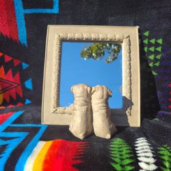 Bulldogs looking in mirror