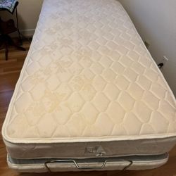 Twin Size Adjustable Bed Frame With Mattress Optional 