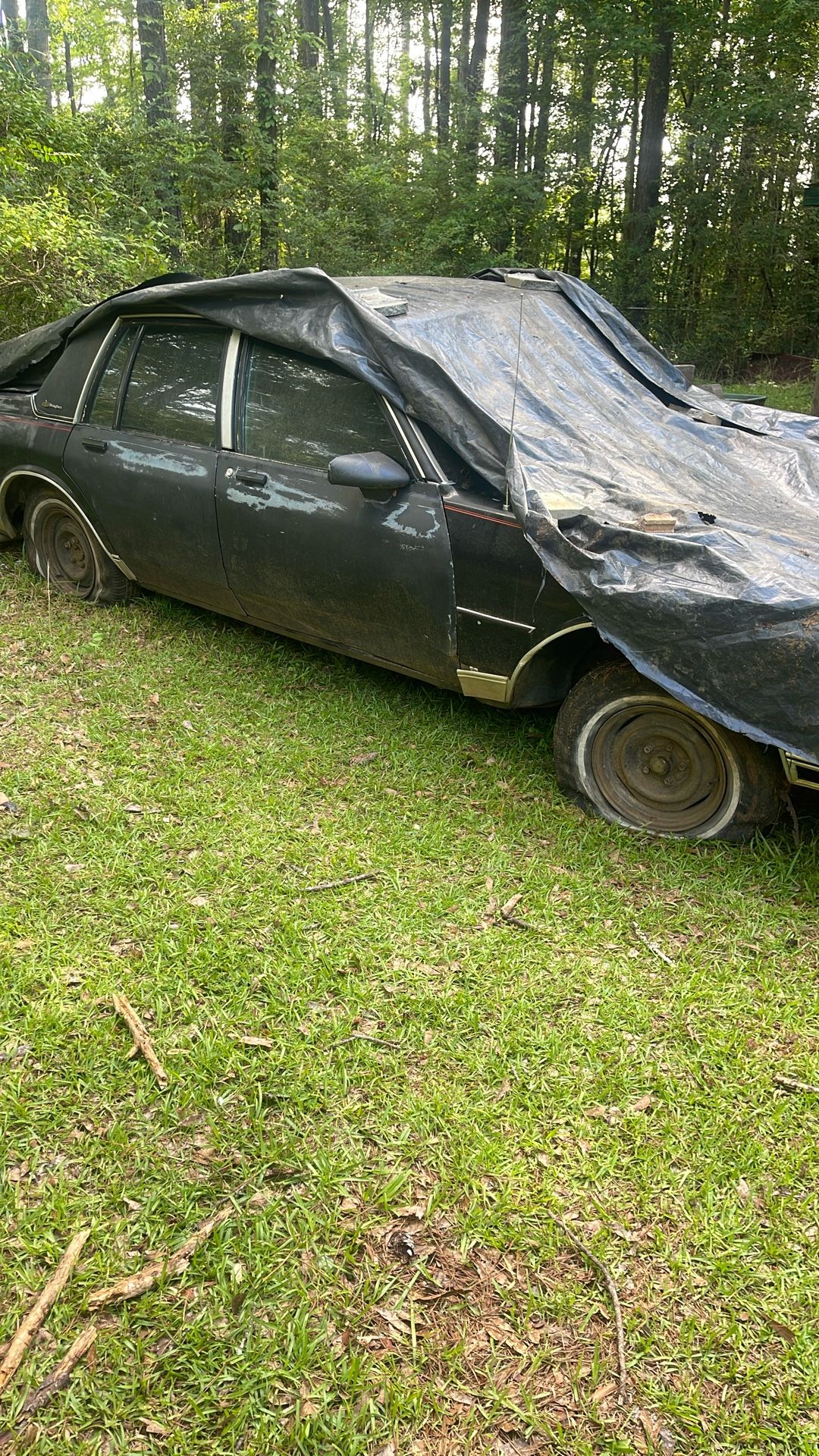 1986 Chevrolet Caprice