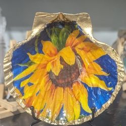Decapoge Shell Perfect Gift For Someone 