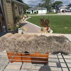 Patio Bricks