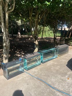 Fish Tanks For Sale