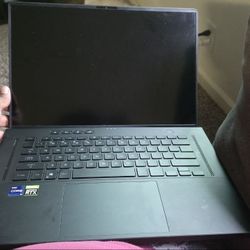 Gaming Laptop (ASUS Zephyrus M16 2022 - RTX 3060)