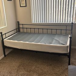 Twin-sized Bed frame w/ Box spring & Cover