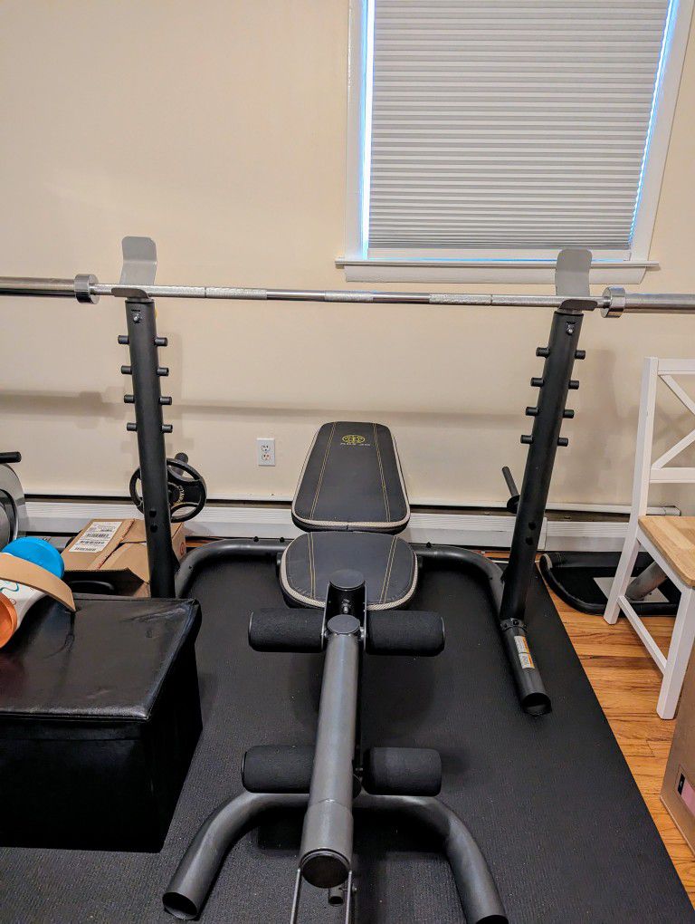 Golds Gym Weight Bench And Bar 