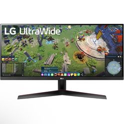 LG UltraWide 29in Monitor 