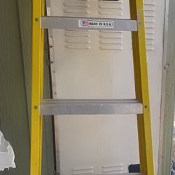 Werner 6ft Ladder 