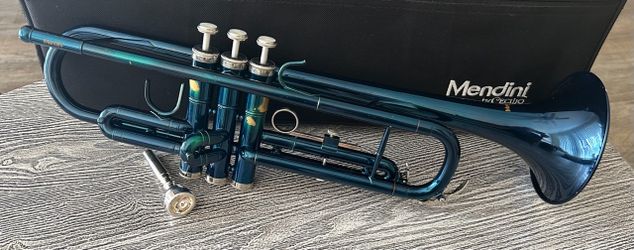 Trumpet with carry case, complete with mouthpiece- Low Price. $65