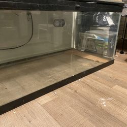 Really Big Tank 
