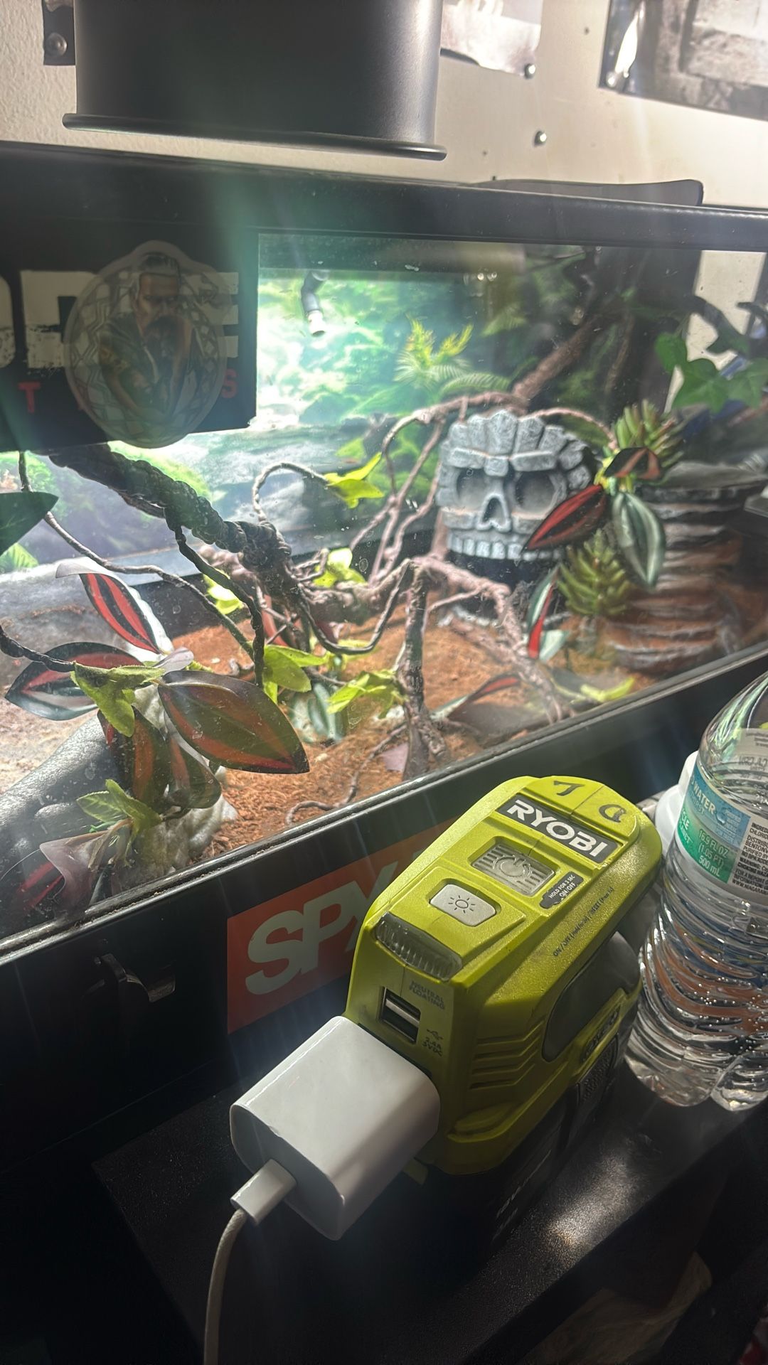 Reptile Tank And Accessories 