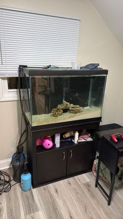 60 Gallon Fish Tank with stand