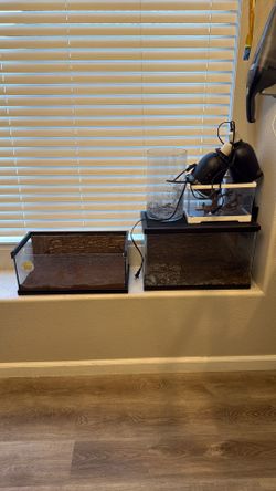 Reptile Tanks and Lights