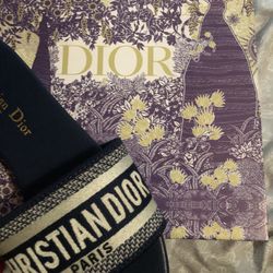 Navy Blue Dior Sandals