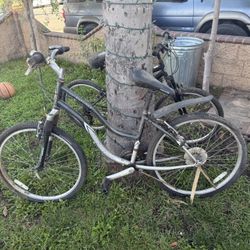 Schwinn Skylines Bike 