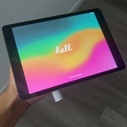 iPad