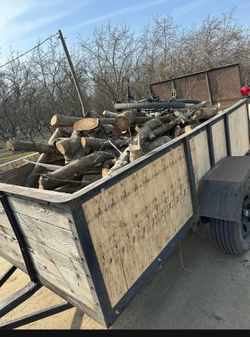 Firewood