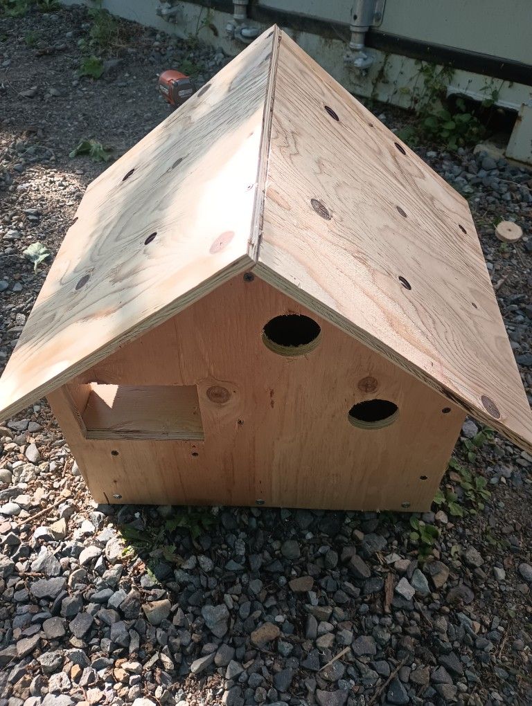 Bird House