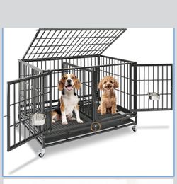 Dog Crate