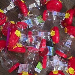 Bulk humming bird feeders