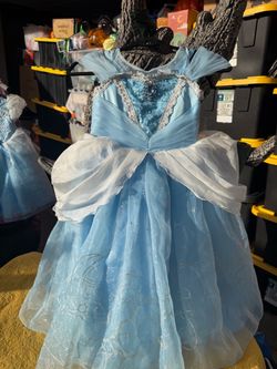 Used Cinderella costume 5/6