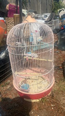 Bird accessory price 10$. Pick up. E. Side. Tacoma