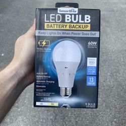 Energy Efficiant Light Bulbs 