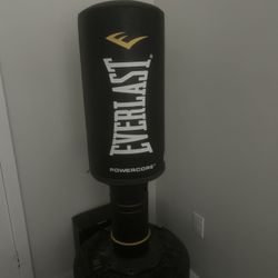 Everlast Punching Bag