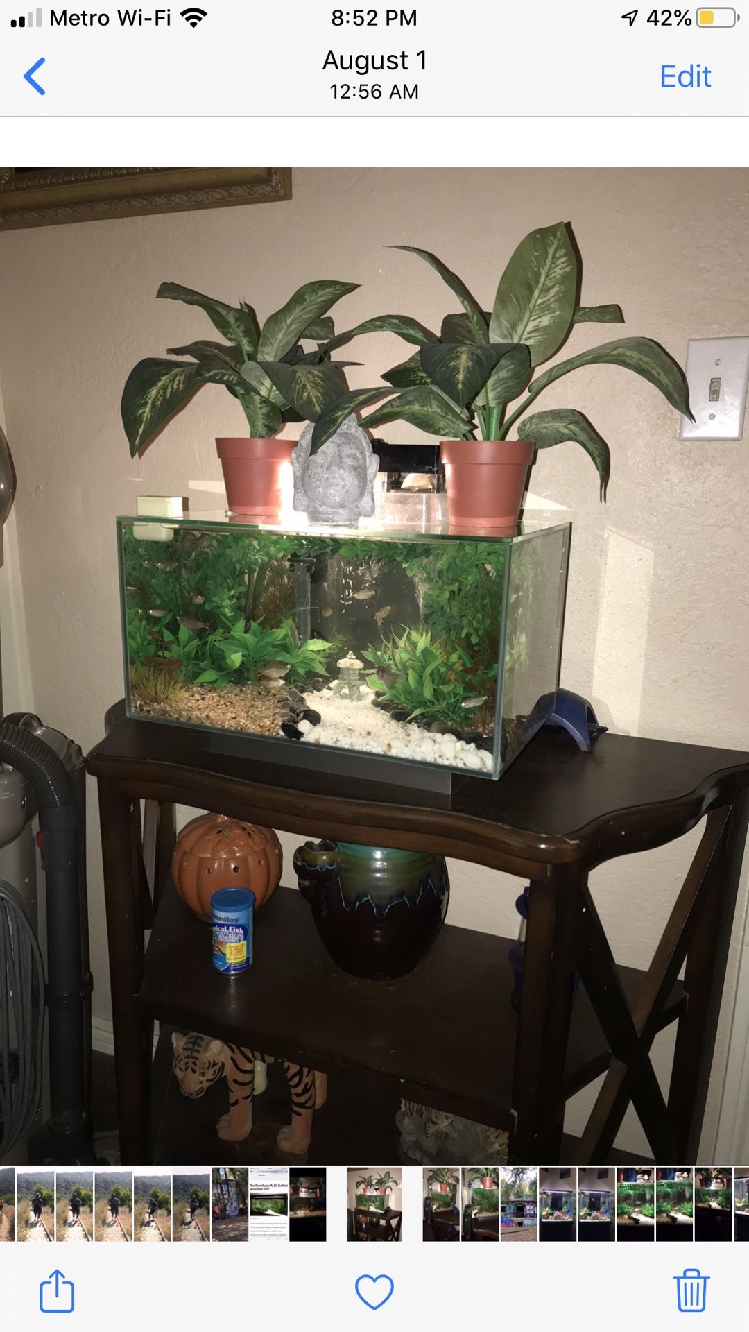 Fluval edge 7 Gallon Rimless Fishtank