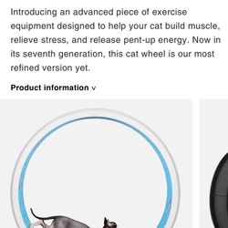 Cat Wheel, One Fast Cat