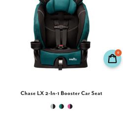 Evenflo 2-1 Booster Seat