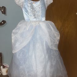 Cinderella Costume