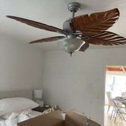 Ceiling Fan
