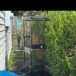 Big Bird Cage 