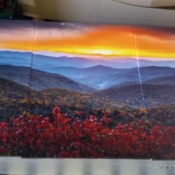 3 Panel Landscape Photo Canvas Art 28" x 20" Each (New)