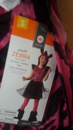 zebra