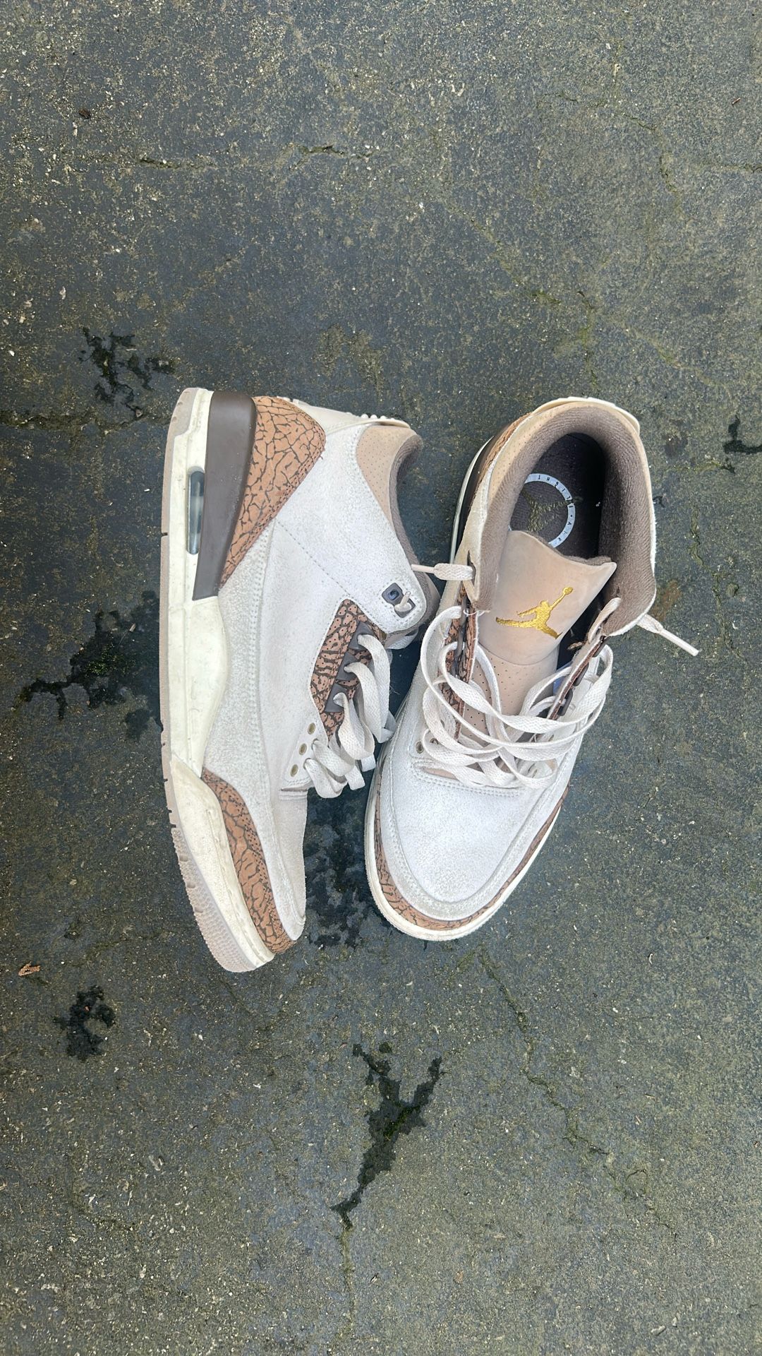 Air Jordan 3