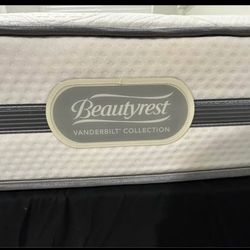 Free Mattress 