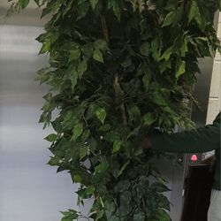 UPDATE: EVERYTHING UNDER $100  & NEGOTIABLE 