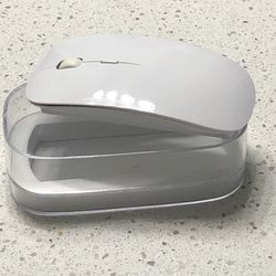 Wireless Mouse - Mighty Mouse Look-alike