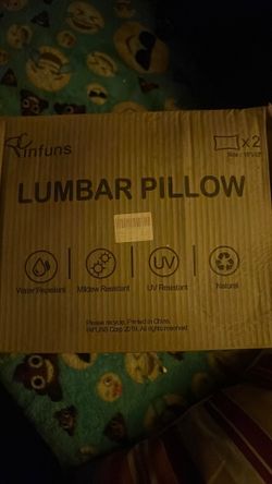 2 lumbar pillows bright fabric