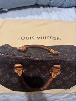 Louis Vuitton Vintage Handbag