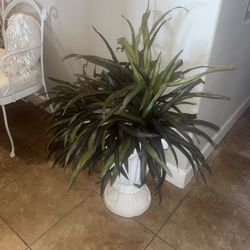 Vase And Plant(Fake Plant)