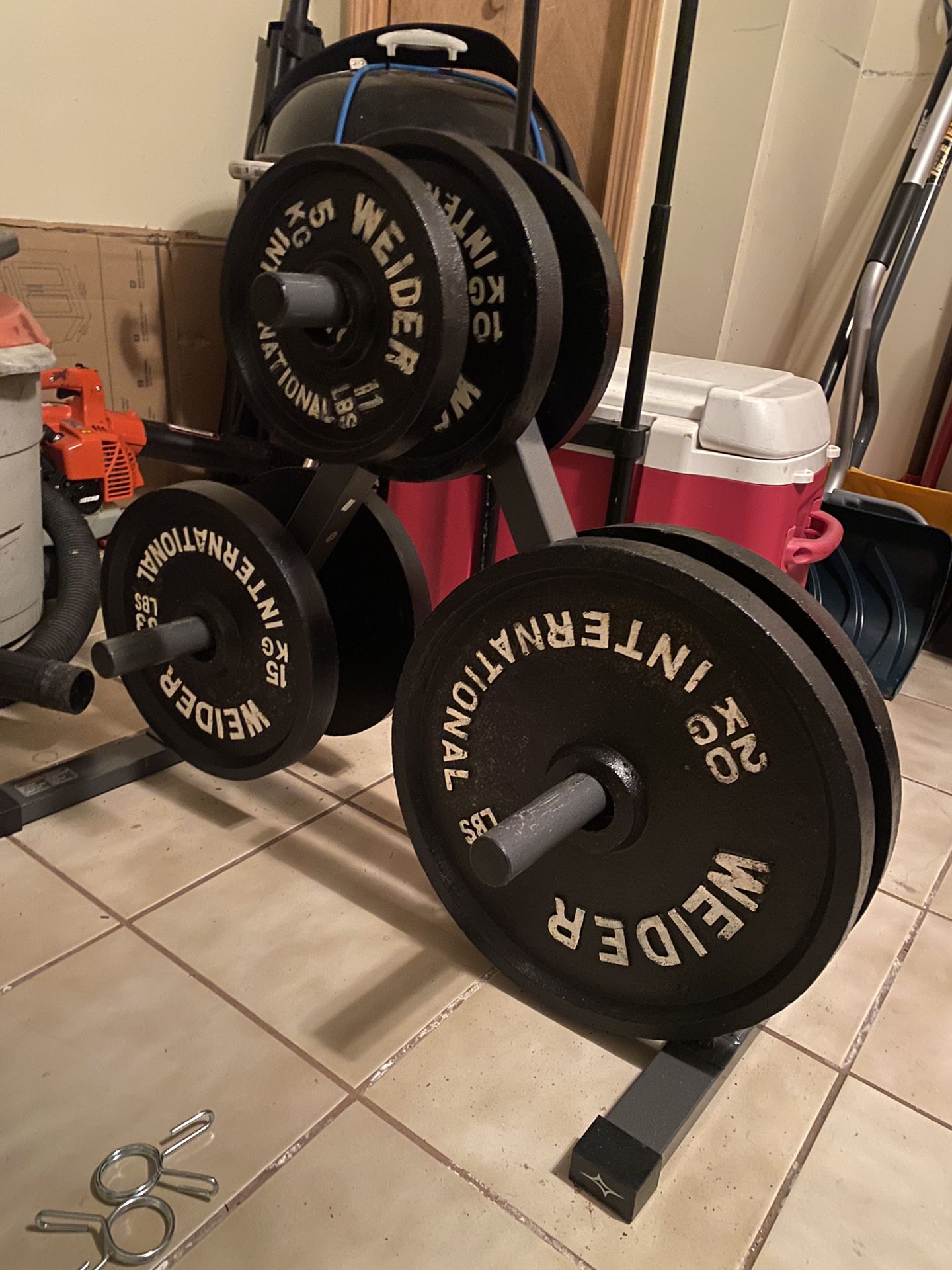 Free weights, Bench ,  Bar,  curl bar ( Workout)