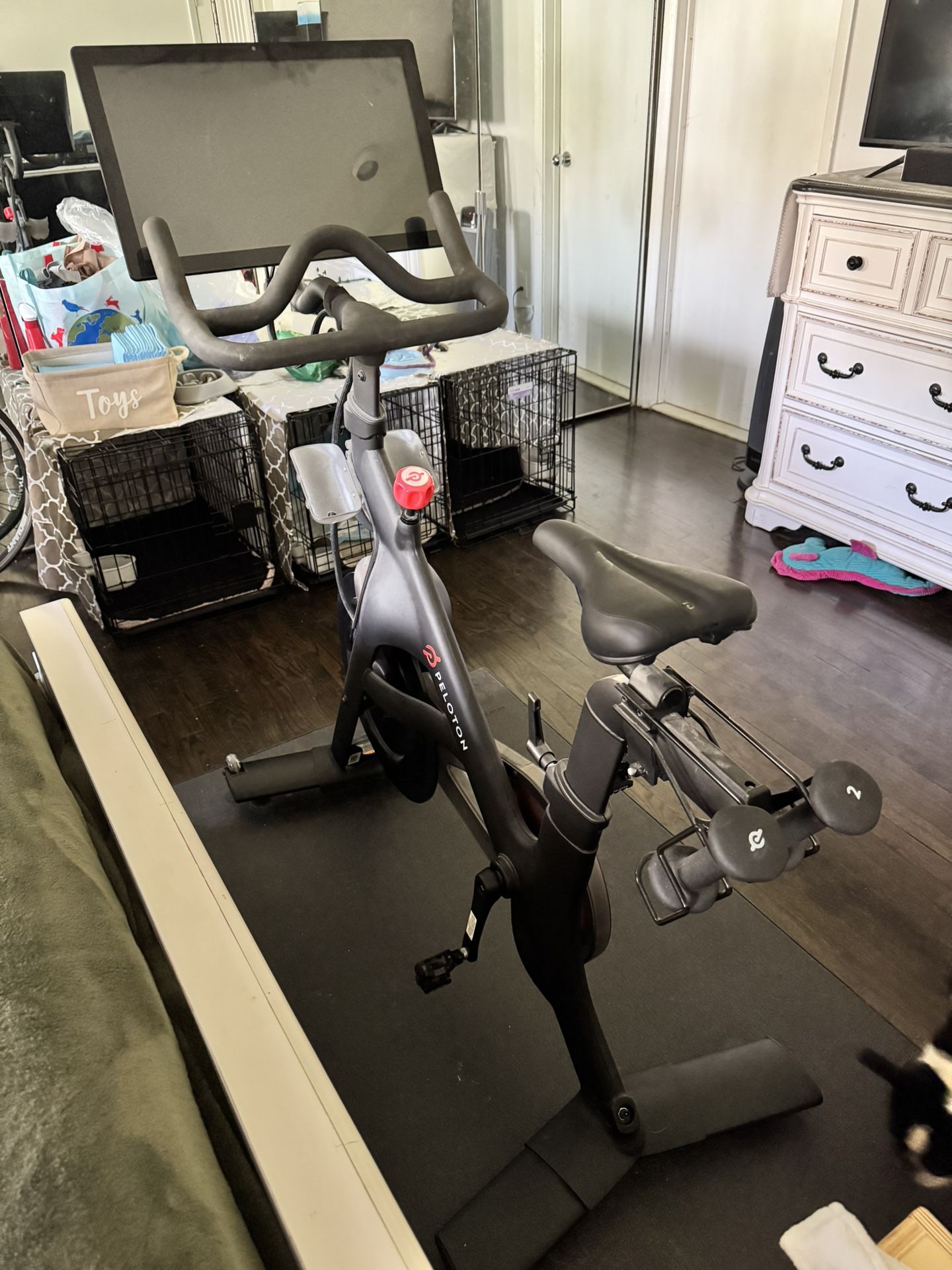 Peloton Bike With Lb Weights, Mat And Size Shoe - Main Image