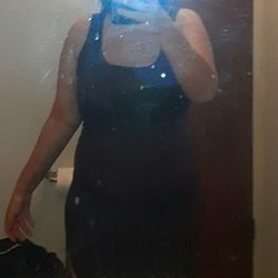 Ann Taylor Brown dress