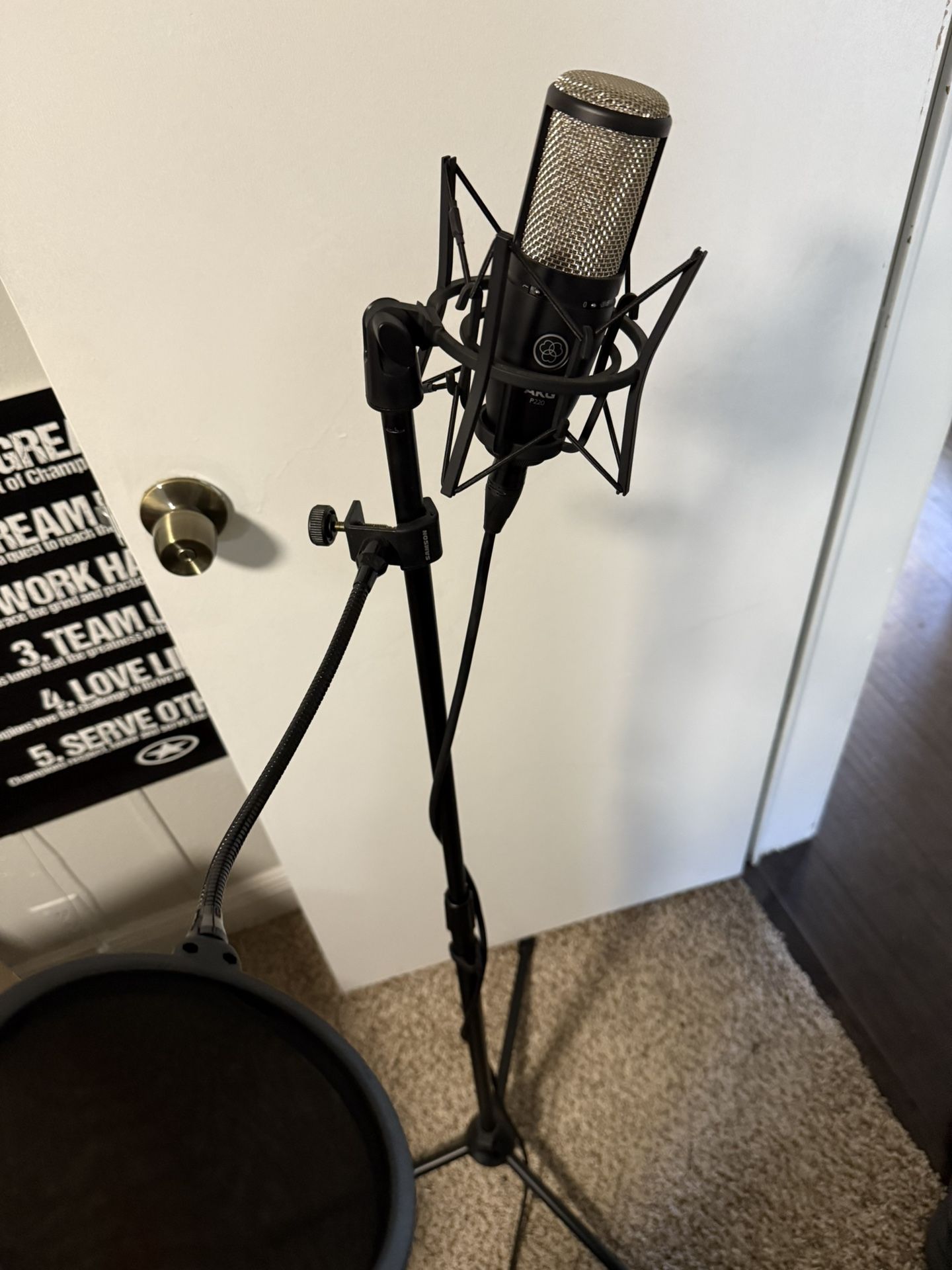 Microphone Plus Stand And Filter